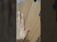 مقدمة عن بلاط السيراميك من سلسلة الخشب بحجم 200x1200 ملم