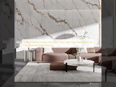 1200×2700ملم بلاط بورسلين داخلي مقاومة عالية للبقع لسهولة صيانة الأرضيات