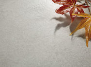 600 × 600 مم حجم بلاط Grip Lappato Peal Color Peal العزل الحراري للبلاط