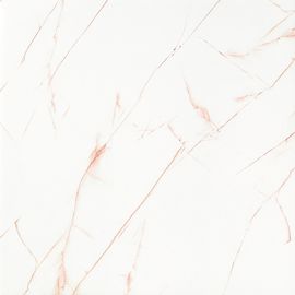 بلاط سيراميك مربع من Calacatta Gold 36 